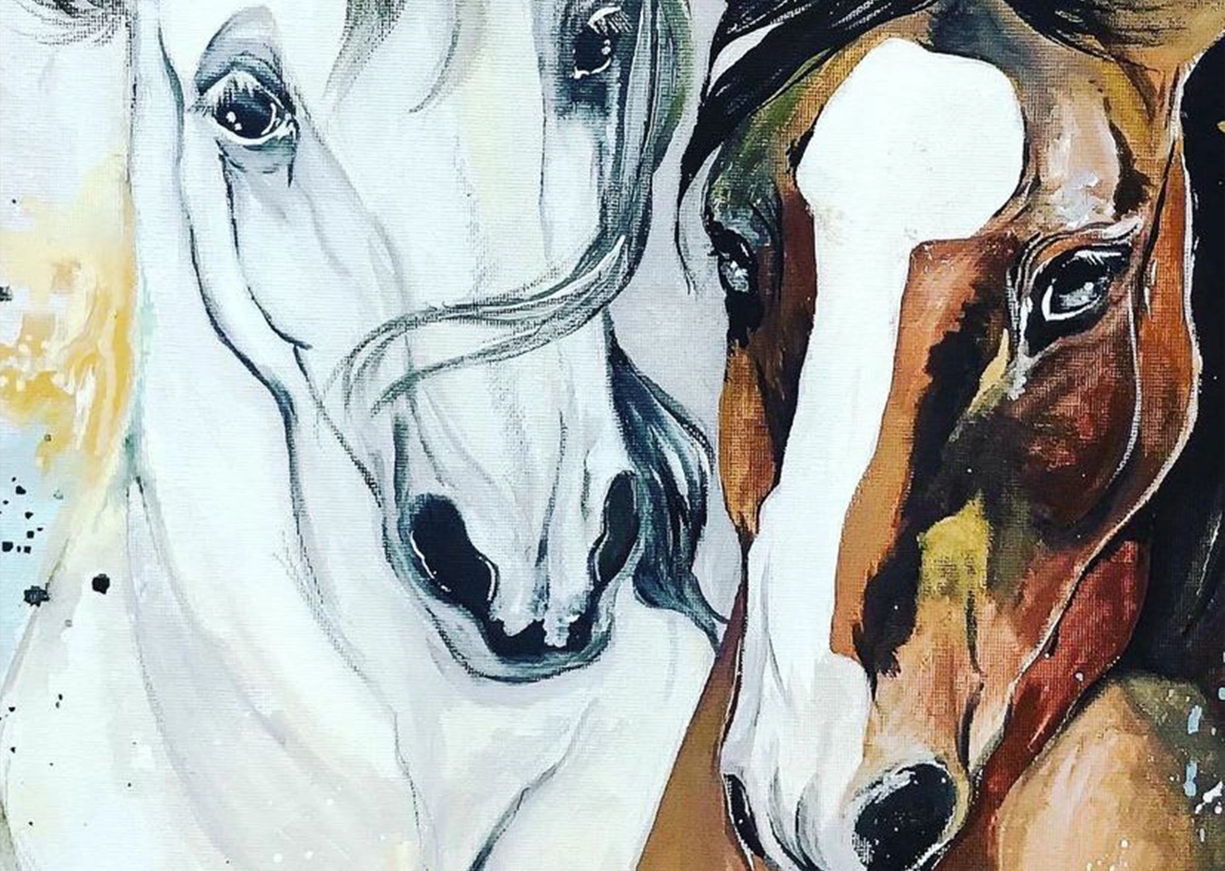 Horses